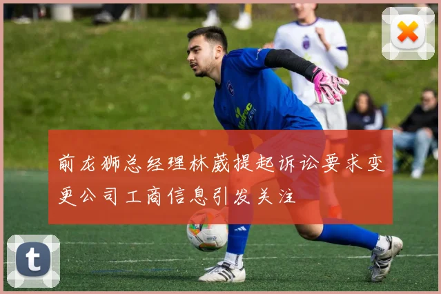 前龙狮总经理林葳提起诉讼要求变更公司工商信息引发关注